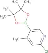 2-Chloro-4-methyl-5-(tetramethyl-1,3,2-dioxaborolan-2-yl)pyridine