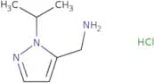 [1-(Propan-2-yl)-1H-pyrazol-5-yl]methanamine hydrochloride
