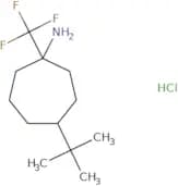 4-tert-Butyl-1-(trifluoromethyl)cycloheptan-1-amine hydrochloride