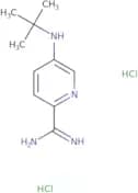 5-(tert-Butylamino)pyridine-2-carboximidamide dihydrochloride