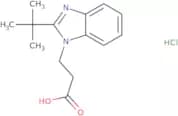 3-(2-tert-Butyl-1H-1,3-benzodiazol-1-yl)propanoic acid hydrochloride