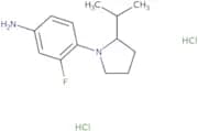 3-Fluoro-4-[2-(propan-2-yl)pyrrolidin-1-yl]aniline dihydrochloride