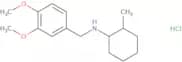 N-[(3,4-Dimethoxyphenyl)methyl]-2-methylcyclohexan-1-amine hydrochloride