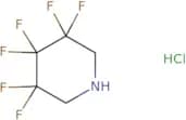 3,3,4,4,5,5-Hexafluoropiperidine hydrochloride