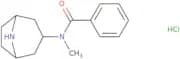 N-{8-Azabicyclo[3.2.1]octan-3-yl}-N-methylbenzamide hydrochloride