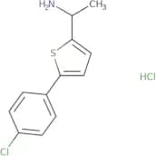 1-[5-(4-Chlorophenyl)thiophen-2-yl]ethan-1-amine hydrochloride