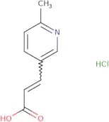 3-(6-Methylpyridin-3-yl)prop-2-enoic acid hydrochloride