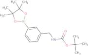 3-(N-Boc-aminomethyl)phenylboronic acid pinacol ester