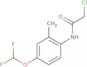 2-Chloro-N-(4-difluoromethoxy-2-methyl-phenyl)-acetamide