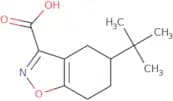 5-tert-Butyl-4,5,6,7-tetrahydro-1,2-benzoxazole-3-carboxylic acid