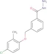 3-[(4-Chloro-2-methylphenoxy)methyl]benzohydrazide