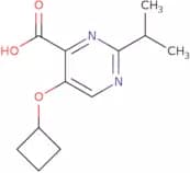 5-Cyclobutoxy-2-(propan-2-yl)pyrimidine-4-carboxylic acid