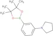 3-(Pyrrilidyl)phenylboronic acid pinacol ester