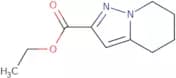 Ethyl 4,5,6,7-tetrahydropyrazolo[1,5-a]pyridine-2-carboxylate