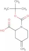 1-tert-Butoxycarbonyl-4-methylene-piperidine-2-carboxylic acid
