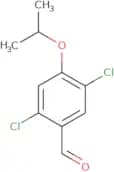 2,5-Dichloro-4-(propan-2-yloxy)benzaldehyde