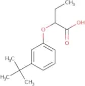 2-(3-tert-Butylphenoxy)butanoic acid