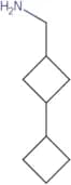 (3-Cyclobutylcyclobutyl)methanamines