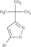 5-Bromo-3-tert-butyl-1,2-oxazole