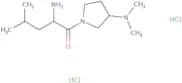 (2S)-2-Amino-1-[3-(dimethylamino)pyrrolidin-1-yl]-4-methylpentan-1-one dihydrochloride