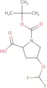 (2S,4R)-1-[(tert-Butoxy)carbonyl]-4-(difluoromethoxy)pyrrolidine-2-carboxylic acid
