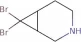 rac-(1R,6R)-7,7-Dibromo-3-azabicyclo[4.1.0]heptane