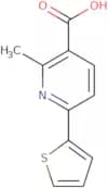 2-Methyl-6-(2-thienyl)pyridine-3-carboxylic acid