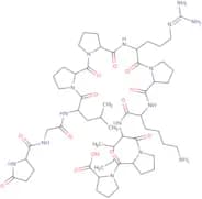 Bradykinin-Potentiator B