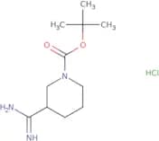 tert-Butyl 3-carbamimidoylpiperidine-1-carboxylate hydrochloride