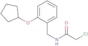 2-Chloro-N-{[2-(cyclopentyloxy)phenyl]methyl}acetamide