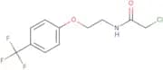 2-Chloro-N-{2-[4-(trifluoromethyl)phenoxy]ethyl}acetamide