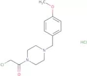 2-Chloro-1-{4-[(4-methoxyphenyl)methyl]piperazin-1-yl}ethan-1-one hydrochloride