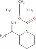 Tert-Butyl 2-Carbamimidoylpiperidine-1-Carboxylate
