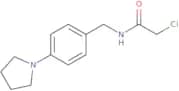 2-Chloro-N-{[4-(pyrrolidin-1-yl)phenyl]methyl}acetamide