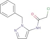 N-(1-Benzyl-1H-pyrazol-5-yl)-2-chloroacetamide