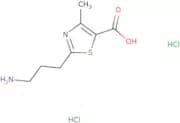 2-(3-Aminopropyl)-4-methyl-1,3-thiazole-5-carboxylic acid dihydrochloride
