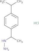 {1-[4-(Propan-2-yl)phenyl]ethyl}hydrazine hydrochloride