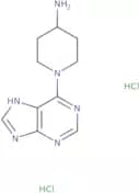 1-(1H-Purin-6-yl)piperidin-4-amine dihydrochloride