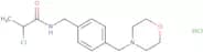 2-Chloro-N-{[4-(morpholin-4-ylmethyl)phenyl]methyl}propanamide hydrochloride