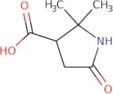 2,2-Dimethyl-5-oxopyrrolidine-3-carboxylic acid