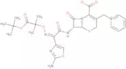 Ceftazidime t-butyl ester