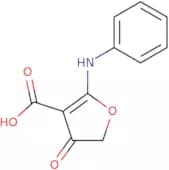 4-Oxo-2-(phenylamino)-4,5-dihydrofuran-3-carboxylic acid
