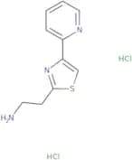 2-[4-(Pyridin-2-yl)-1,3-thiazol-2-yl]ethan-1-amine dihydrochloride