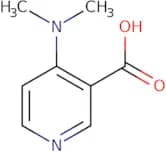 4-(Dimethylamino)nicotinic acid