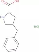 rac-(2R,4R)-4-Benzylpyrrolidine-2-carboxylic acid hydrochloride