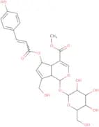 (E)-6-o-(p-Coumaroyl)scandoside methyl ester
