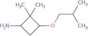 2,2-Dimethyl-3-(2-methylpropoxy)cyclobutan-1-amine