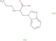 3-(1H-1,3-Benzodiazol-1-yl)-2-(propylamino)propanoic acid dihydrochloride