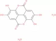 Ellagic Acid Dihydrate