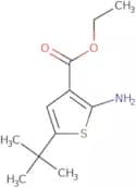 Ethyl 2-amino-5-tert-butylthiophene-3-carboxylate